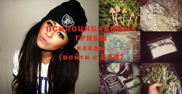apvp Михайловск